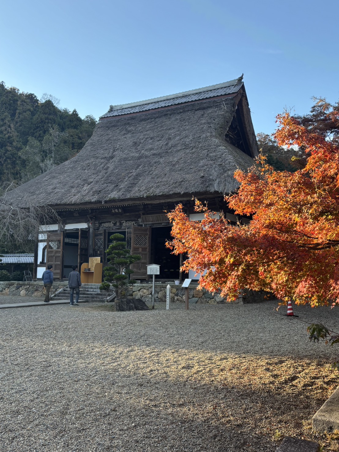 紅葉スポットへ！