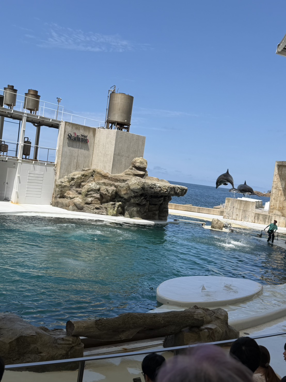暑い日は水族館にGO